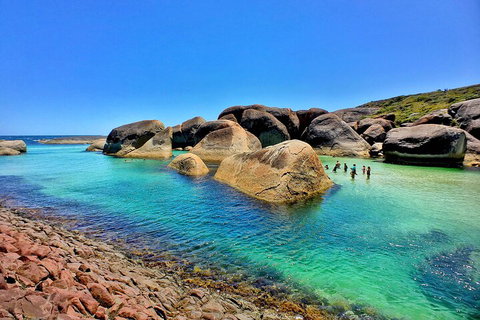 6 Day Esperance & Margaret River Adventure Tour - Australian Directory 3