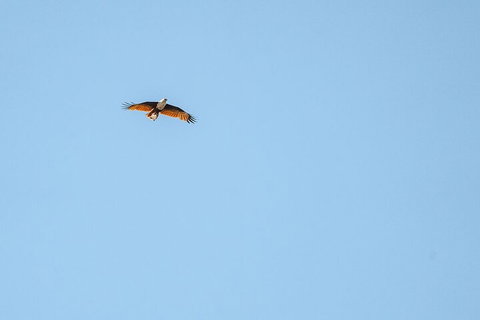 North Stradbroke Island Day Trip From Brisbane - Australian Directory 4