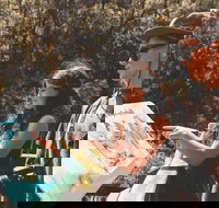 Springbrook andTamborine Rainforest Tour Incl Natural Bridge and Glow Worm Cave - Australian Directory