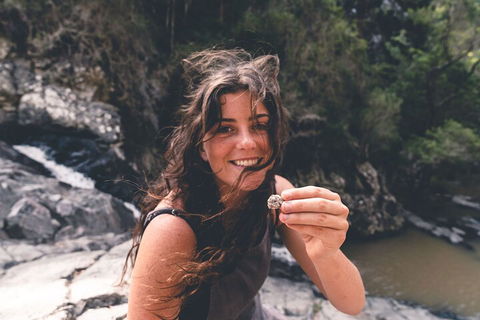 Springbrook AndTamborine Rainforest Tour Incl Natural Bridge And Glow Worm Cave - Australian Directory 1