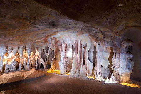 Springbrook AndTamborine Rainforest Tour Incl Natural Bridge And Glow Worm Cave - Australian Directory 4