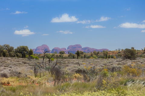 Overnight Uluru (Ayers Rock) Small-Group Camping Tour - Australian Directory 0