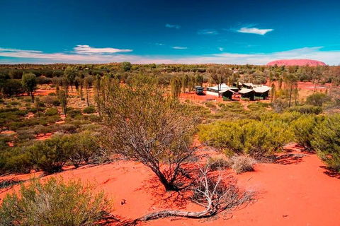 Overnight Uluru (Ayers Rock) Small-Group Camping Tour - Australian Directory 2
