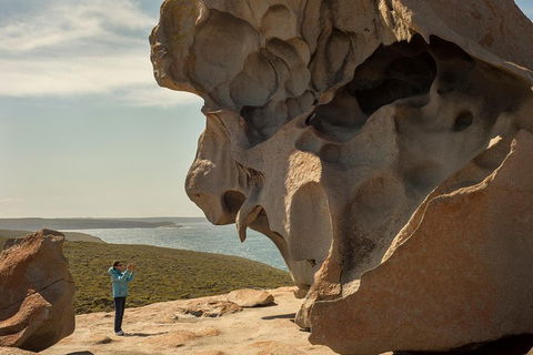 Kangaroo Island In A Day Tour From Adelaide - Australian Directory 5