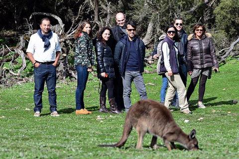 2-Day Kangaroo Island 4WD Small-Group Tour From Adelaide - Australian Directory 1