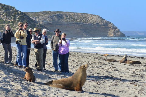 2-Day Kangaroo Island 4WD Small-Group Tour From Adelaide - Australian Directory 3