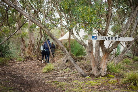 2-Day Kangaroo Island 4WD Small-Group Tour From Adelaide - Australian Directory 5