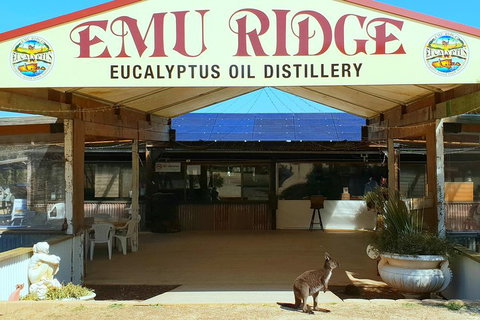 2 Day Ultimate Kangaroo Island With Return Ferry - Australian Directory 3