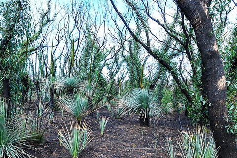 NEW TOUR - Kangaroo Island Road To Recovery Tour (1 Day/1 Night) - Australian Directory 3