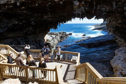 Full Day Flinders Chase Tour From Kangaroo Island - Australian Directory 1