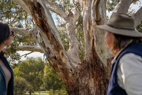 Full Day Flinders Chase Tour From Kangaroo Island - Australian Directory 5