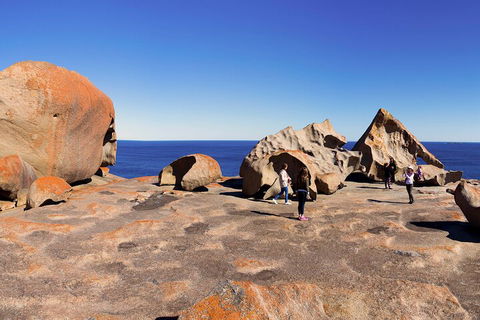 Full-Day Kangaroo Island Experience Departing From Kangaroo Island - Australian Directory 4