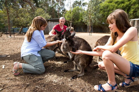 Full-Day Kangaroo Island Experience Departing From Kangaroo Island - Australian Directory 5
