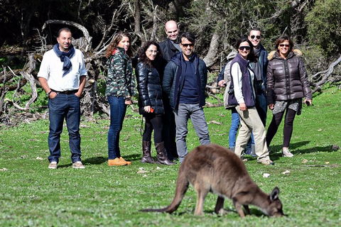 Full Day Seal Bay Experience Departing From Kangaroo Island - Australian Directory 3