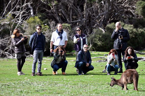 Small-Group Kangaroo Island 4WD Tour From Adelaide - Australian Directory 2