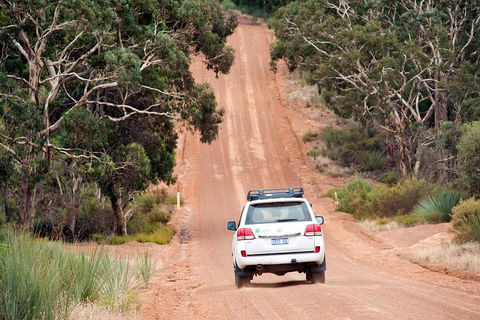Small-Group Kangaroo Island 4WD Tour From Adelaide - Australian Directory 3