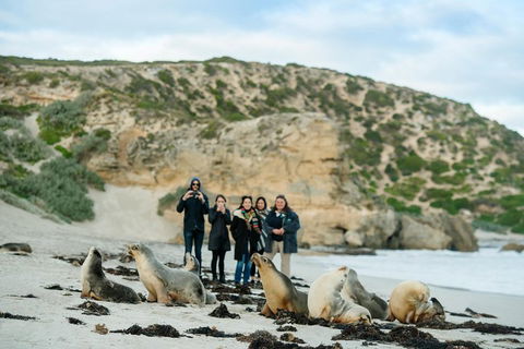 Small-Group Kangaroo Island 4WD Tour From Adelaide - Australian Directory 4