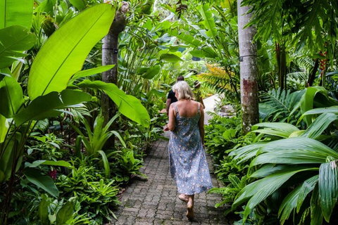 Cairns City Sights And Surrounds Tour - Australian Directory 2