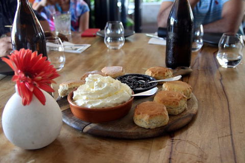 Small-Group Afternoon Cairns City Tour With Harbour Dinner Cruise - Australian Directory 3