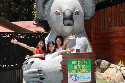 Kuranda Koala Gardens And Birdworld Admission Tickets - Australian Directory 3