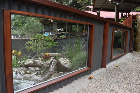 Kuranda Koala Gardens And Birdworld Admission Tickets - Australian Directory 4