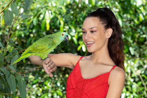 Kuranda Wildlife Experience Three Attraction Pass - Australian Directory 1