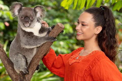 Kuranda Wildlife Experience Three Attraction Pass - Australian Directory 4