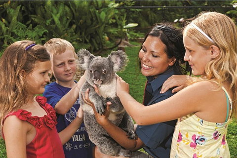 Kuranda Koala Gardens General Entry Ticket - Australian Directory 0