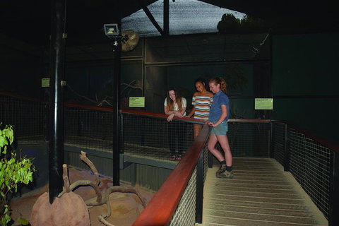 Kuranda Koala Gardens General Entry Ticket - Australian Directory 2