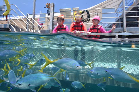 Outer Reef Pontoon Experience From Cairns - Australian Directory 0