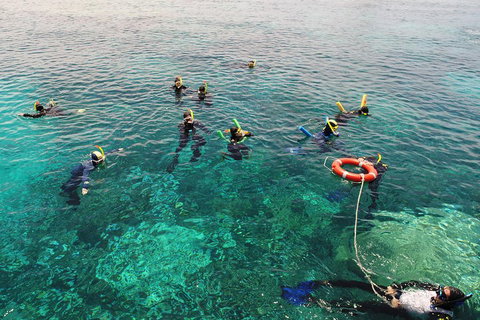 Seastar Luxury Outer Great Barrier Reef Island And Reef Tour From Cairns - Australian Directory 2