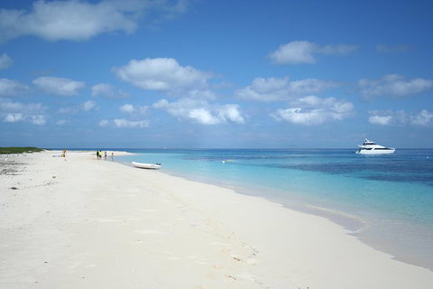 Seastar Luxury Outer Great Barrier Reef Island And Reef Tour From Cairns - Australian Directory 3