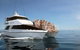 Seastar Luxury Outer Great Barrier Reef Island And Reef Tour From Cairns - thumb 4