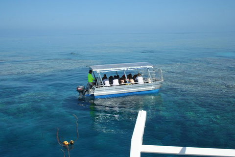 Seastar Luxury Outer Great Barrier Reef Island And Reef Tour From Cairns - Australian Directory 5