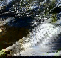 Cradle Mountain Day Tour from Launceston Including Lunch - Australian Directory