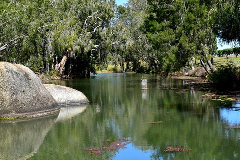 Private Daintree And Cape Tribulation Tour From Port Douglas - Australian Directory 3