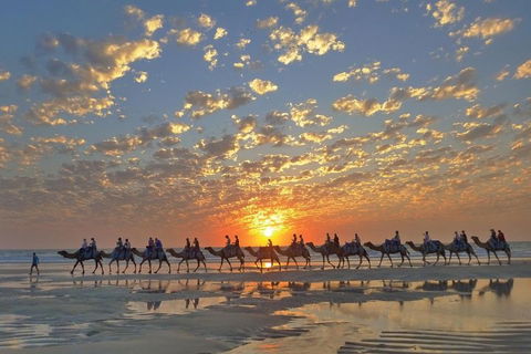 Broome City Sightseeing Tour With Optional Camel Ride - Australian Directory 1