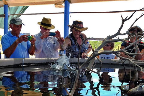 Cape Leveque 4WD Tour From Broome With Optional Return Flight - Australian Directory 0
