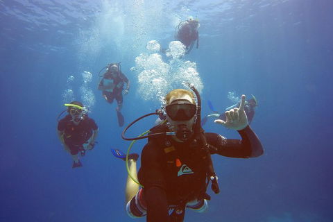 12-Day Great Barrier Reef Marine Conservation Program From Cairns - Australian Directory 0
