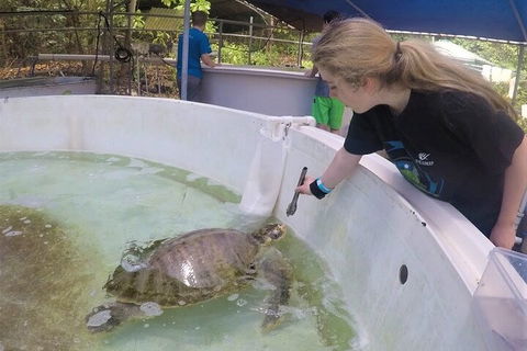 12-Day Great Barrier Reef Marine Conservation Program From Cairns - Australian Directory 4