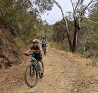 Mount Lofty Descent Bike Tour from Adelaide - Australian Directory