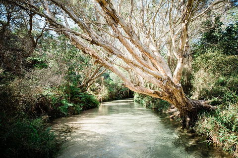 3-Day Fraser Island Resort Package - Australian Directory 5