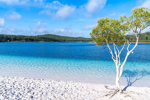 Lake McKenzie Full-Day Tour With Lunch From Hervey Bay - Australian Directory 1