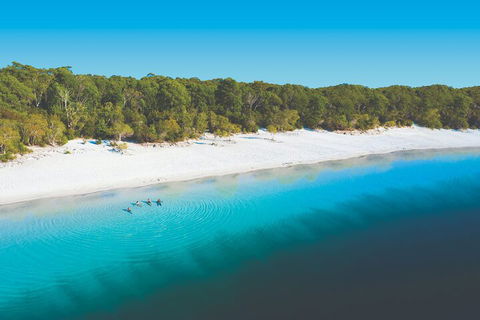 Lake McKenzie Full-Day Tour With Lunch From Hervey Bay - Australian Directory 4