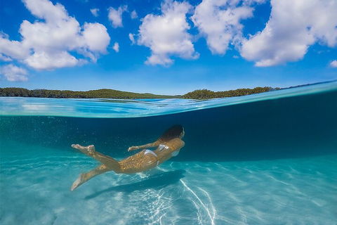 Lake McKenzie Full-Day Tour With Lunch From Hervey Bay - Australian Directory 5