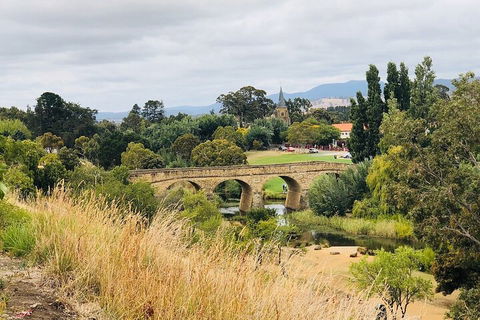 Day Tour In Mt. Field, Mt. Wellington, Bonorong Wildlife Sanctuary And Richmond - Australian Directory 3