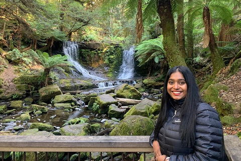 Day Tour In Mt. Field, Mt. Wellington, Bonorong Wildlife Sanctuary And Richmond - Australian Directory 5