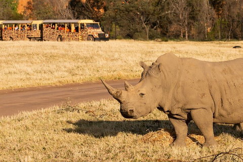 Sunset Safari At Werribee Open Range Zoo - Australian Directory 1