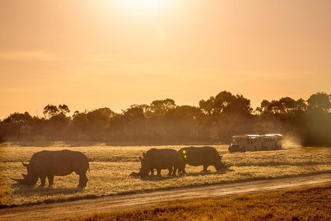 Sunset Safari At Werribee Open Range Zoo - Australian Directory 2