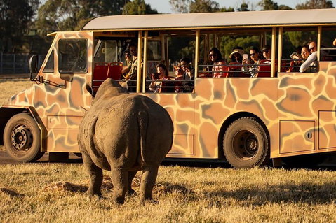 Sunset Safari At Werribee Open Range Zoo - Australian Directory 5